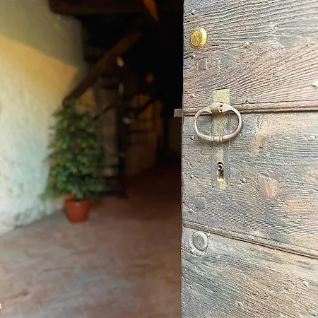 Salvotti - Only Self Check-in